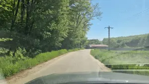 Vand 3600 mp padure, in Bascov, zona Uiasca - imagine 2