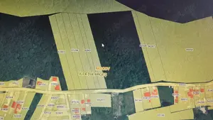 Vand 3600 mp padure, in Bascov, zona Uiasca - imagine 5