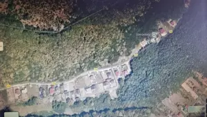 Vand 3600 mp padure, in Bascov, zona Uiasca - imagine 4