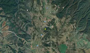 Forotic, Teren Drept Pentru Investitie, 13.2 Hectare (132.000 Mp.), Langa Drum Asfaltat si Linie de  - imagine 2