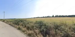 Forotic, Teren Drept Pentru Investitie, 13.2 Hectare (132.000 Mp.), Langa Drum Asfaltat si Linie de  - imagine 6