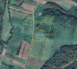 Forotic, Teren Drept Pentru Investitie, 13.2 Hectare (132.000 Mp.), Langa Drum Asfaltat si Linie de