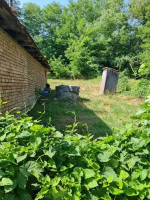 Urgent casa de vanzare - imagine 4