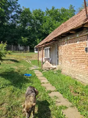 Urgent casa de vanzare - imagine 3