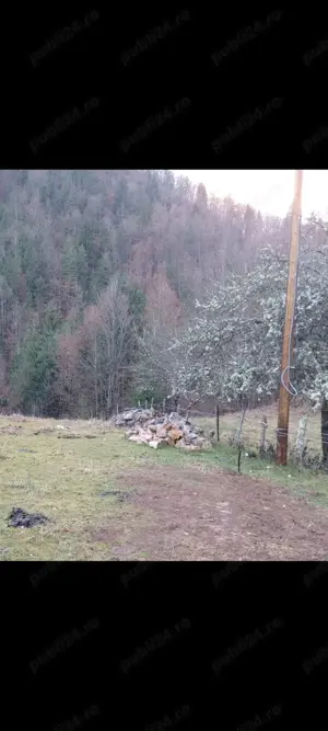 Vând teren Munții Apuseni