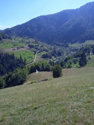 Vând teren Munții Apuseni - imagine 4