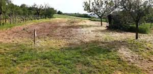 Teren intravilan Cetariu - imagine 5