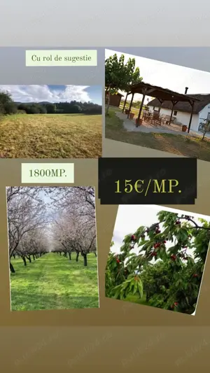 Teren de vanzare Sarichioi Tulcea Delta Dunarii 