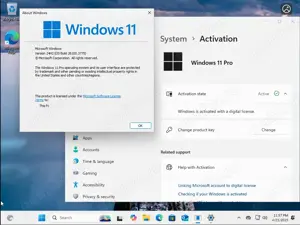 Usb Flash Drive   Stick Bootabil cu Windows 10  11 Pro Licenta Inclusa! - imagine 5