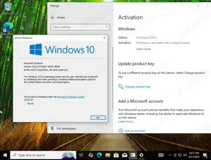 Usb Flash Drive   Stick Bootabil cu Windows 10  11 Pro Licenta Inclusa! - imagine 3