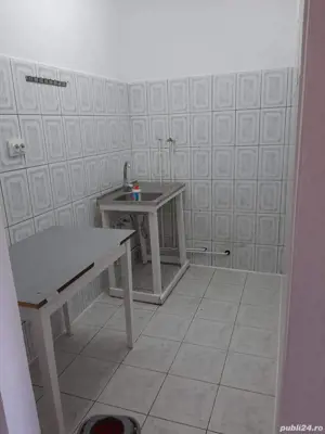 Vind apartament Deta - imagine 7