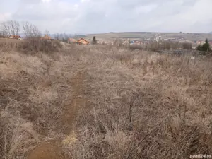 Vand teren intravilan Petrestii de Jos - imagine 9