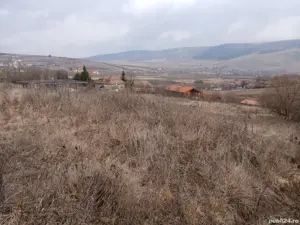 Vand teren intravilan Petrestii de Jos - imagine 8