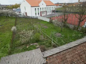 Conac Boieresc   casa generoasa cu 8 camere - Salard - IMOBIHOR  - imagine 5