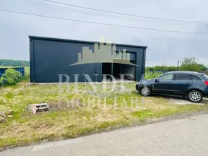 Hala in Pișchia – ideală pentru servicii, depozit sau activitate comerciala - imagine 3