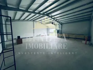Hala in Pișchia – ideală pentru servicii, depozit sau activitate comerciala - imagine 9
