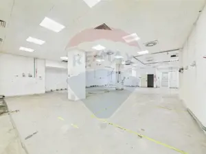 Spațiu multifuncțional de birouri și producție langa Kaufland Vitan - imagine 7