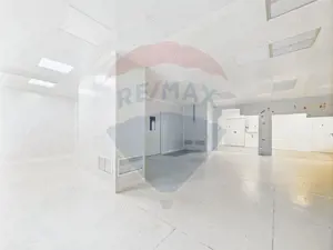 Spațiu multifuncțional de birouri și producție langa Kaufland Vitan - imagine 17