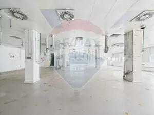 Spațiu multifuncțional de birouri și producție langa Kaufland Vitan