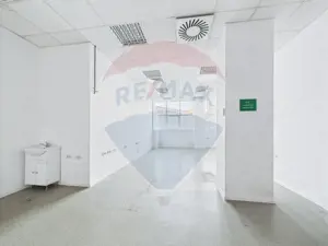 Spațiu multifuncțional de birouri și producție langa Kaufland Vitan - imagine 14