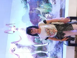 curatenie de intretinere