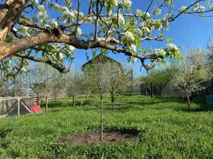 Casă de vânzare în Baciu, Mera – liniște, spațiu și natură la doar 13 km de oraș - imagine 3