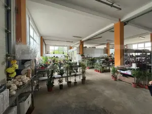 Spatiu comercial de vanzare, 330 mp, Zalau