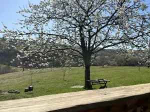 Investiție în natură > 2 case restaurate cu potențial de inchiriere si teren de 20.000 mp - imagine 3