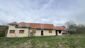 Casă de Vânzare, 4139 mp, Hăpria, Ciugud – Ideală ca Locuință sau Proiect Rural