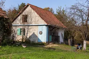 Investiție în natură > 2 case restaurate cu potențial de inchiriere si teren de 20.000 mp - imagine 6