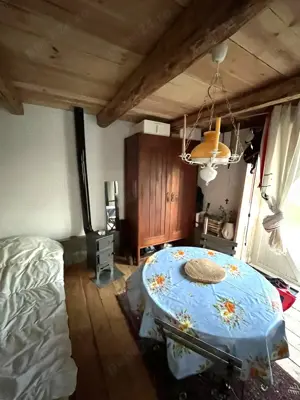 Investiție în natură > 2 case restaurate cu potențial de inchiriere si teren de 20.000 mp - imagine 10