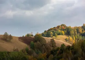 Teren de 2 Hectare (20.000 mp) cu două case restaurate Târnova, Caraș-Severin - imagine 3