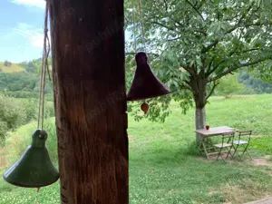 Teren de 2 Hectare (20.000 mp) cu două case restaurate Târnova, Caraș-Severin - imagine 6