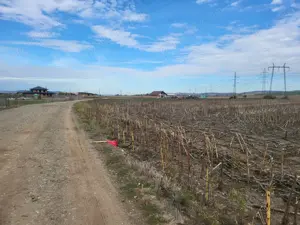 Vând teren în Alba Iulia 