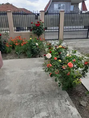 Vând casă cu dependințe și loc de 850mp - imagine 6