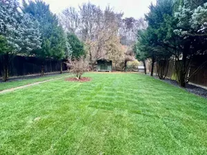 A 1607 De vânzare casă singur în curte în Tg Mureș - 7 Noiembrie - imagine 7