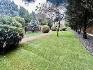 A 1607 De vânzare casă singur în curte în Tg Mureș - 7 Noiembrie - imagine 9