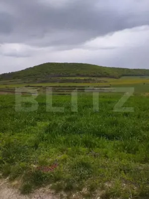 Teren extravilan 3621 mp, in Petrestii de Mijloc