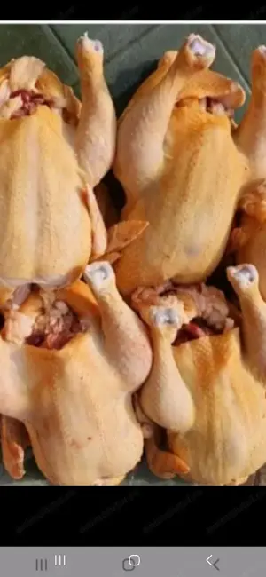 Vând păsări de curte taiete  - imagine 3