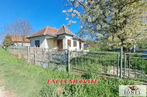 Casa de vanzare in Lunca Muresului - Gura Ariesului