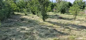 Teren intravilan in satul Bejan - imagine 6