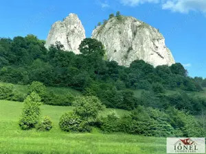 Vanzare casa noua in Metes - Ampoita - imagine 12 Vanzare casa noua in Metes - Ampoita - imagine 12