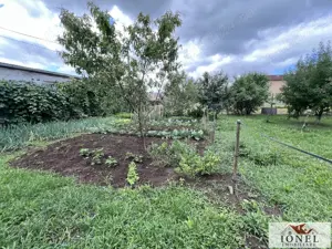 Vanzare casa in Alba Iulia, Cetate - Schit - imagine 13