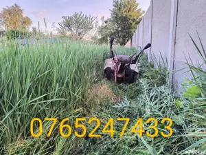 Cosesc tund iarba defrisez - imagine 2