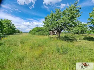 Vanzare casa semifinisata in Teius -700 mp teren  - imagine 10