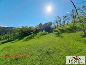 Casa de vanzare cu 46774 mp teren in zona Vintu de Jos