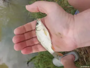 puiet crap  - imagine 2 puiet crap  - imagine 2