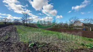 Tautii Magheraus, teren intravilan, suprafata 1377 mp, acces prin strada nr. 59 - imagine 4 Tautii Magheraus, teren intravilan, suprafata 1377 mp, acces prin strada nr. 59 - imagine 4