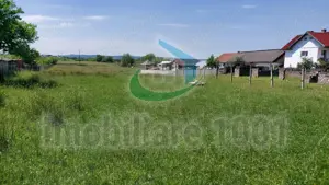 Cicarlau, teren intravilan, zona de case, suprafata 2936 mp - imagine 4