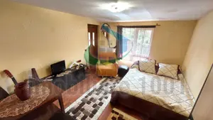 Curtuiusu Mare, casa 4 camere, suprafata utila 105 mp, teren 2431 mp - imagine 5